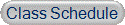 Class Schedule